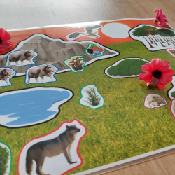 L'environnement du mouton