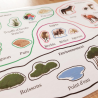 L'environnement du mouton