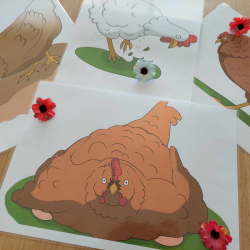 Postures poule