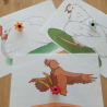 Postures poule