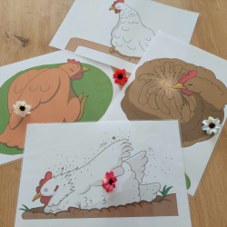 Postures poule
