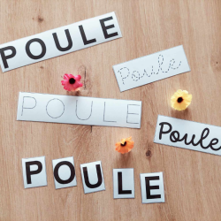 Kit de motricité fine - écriture poule