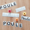 Kit de motricité fine - écriture poule