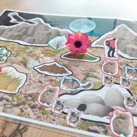 L'environnement du chinchilla