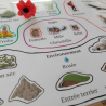 L'environnement du chinchilla
