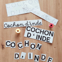 kit motricité fine cochon d'inde