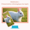 Webinaire : Présentation éthologique du lapin