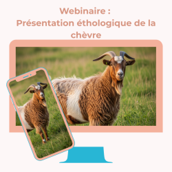 Webinaire : Présentation éthologique de la chèvre