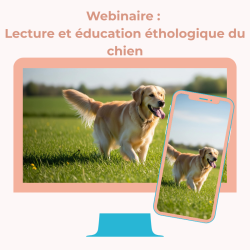 Webinaire : Lecture et éducation éthologique du chien