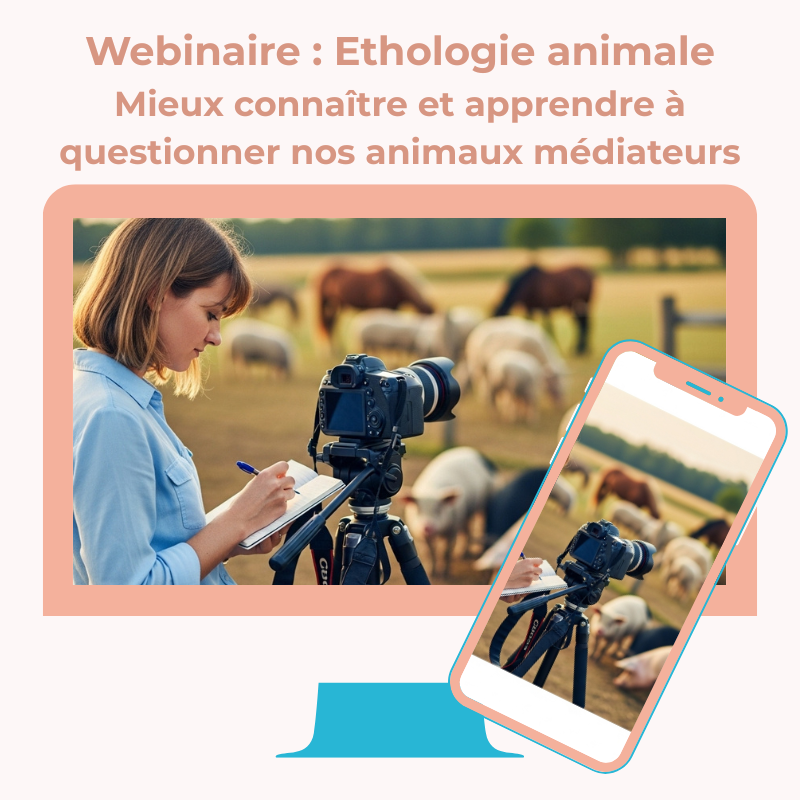 Webinaire : Ethologie animale - mieux connaître et apprendre à questionner nos animaux médiateurs Webinaire : Ethologie animale - mieux connaître et apprendre à questionner nos animaux médiateurs