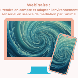 Webinaire : Prendre en compte et adapter l'environnement sensoriel en séance de médiation par l'animal