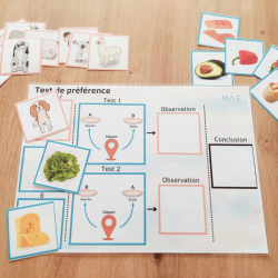 Tests éthologiques