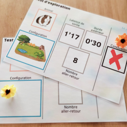 Tests éthologiques