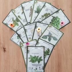 Planches de Botanique