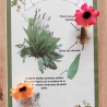 Planches de Botanique