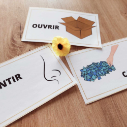 Cartes consignes