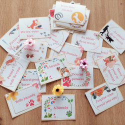 Cartes d'attention