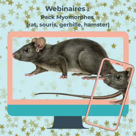 Pack Webinaires sur les myomorphes