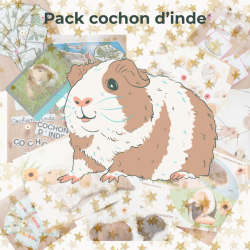 Pack Cochons d'inde
