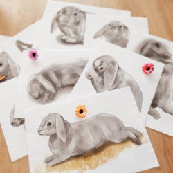 Postures lapin