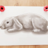 Postures lapin