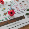 L'environnement du lapin
