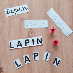kit motricité fine lapin