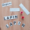 kit motricité fine lapin