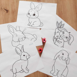 kit motricité fine lapin