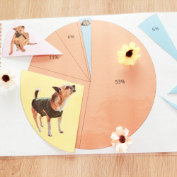 Budget temps du chien