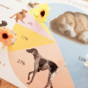 Budget temps du chien