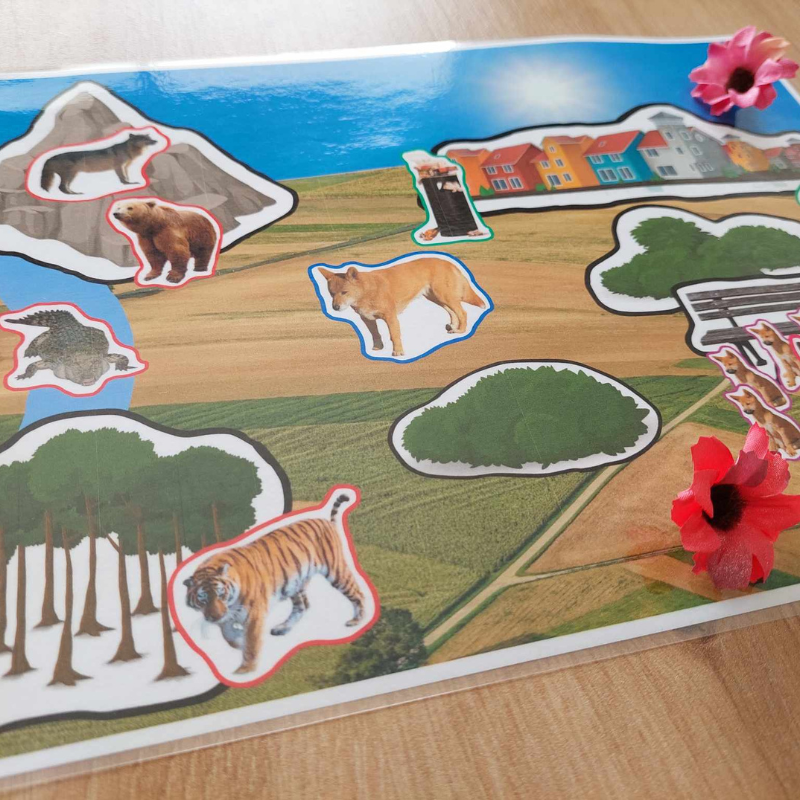 L'environnement du chien L'environnement du chien