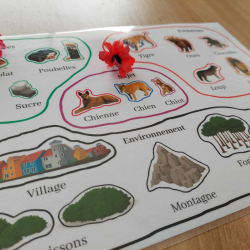 L'environnement du chien