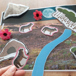 L'environnement du loup