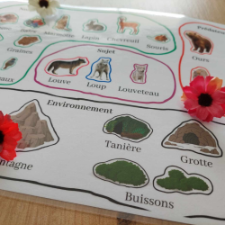 L'environnement du loup