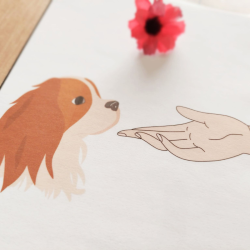 Test de consentement à la caresse chez le chien