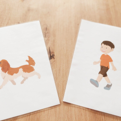 Test de consentement à la caresse chez le chien