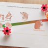 Les signaux de communication chez le chien