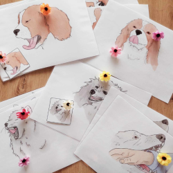 Les signaux de communication chez le chien