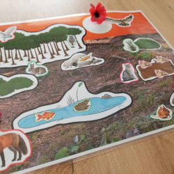 L'environnement du chat