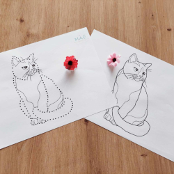Kit motricité fine - écriture Chat