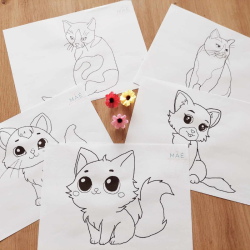 Kit motricité fine - écriture Chat