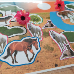 L'environnement du cheval