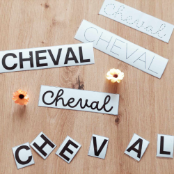 Kit de motricité fine - écriture du cheval