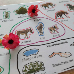 L'environnement de l'âne